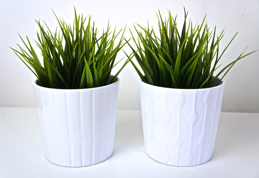 Икеа фейка папоротник