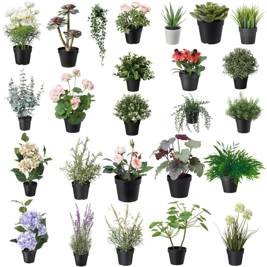 Fejka фейка искусственное растение