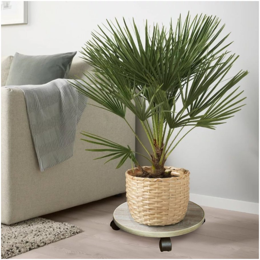 Искусственные растения в горшках