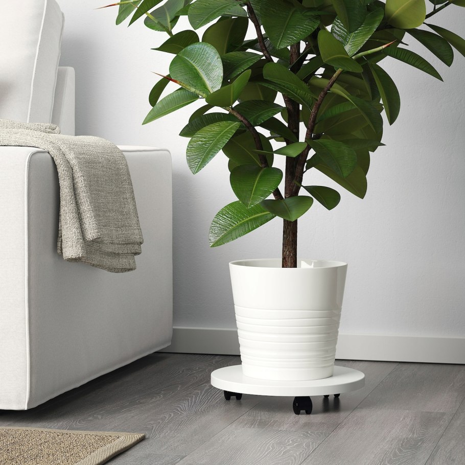 ОСТЛИГ кашпо