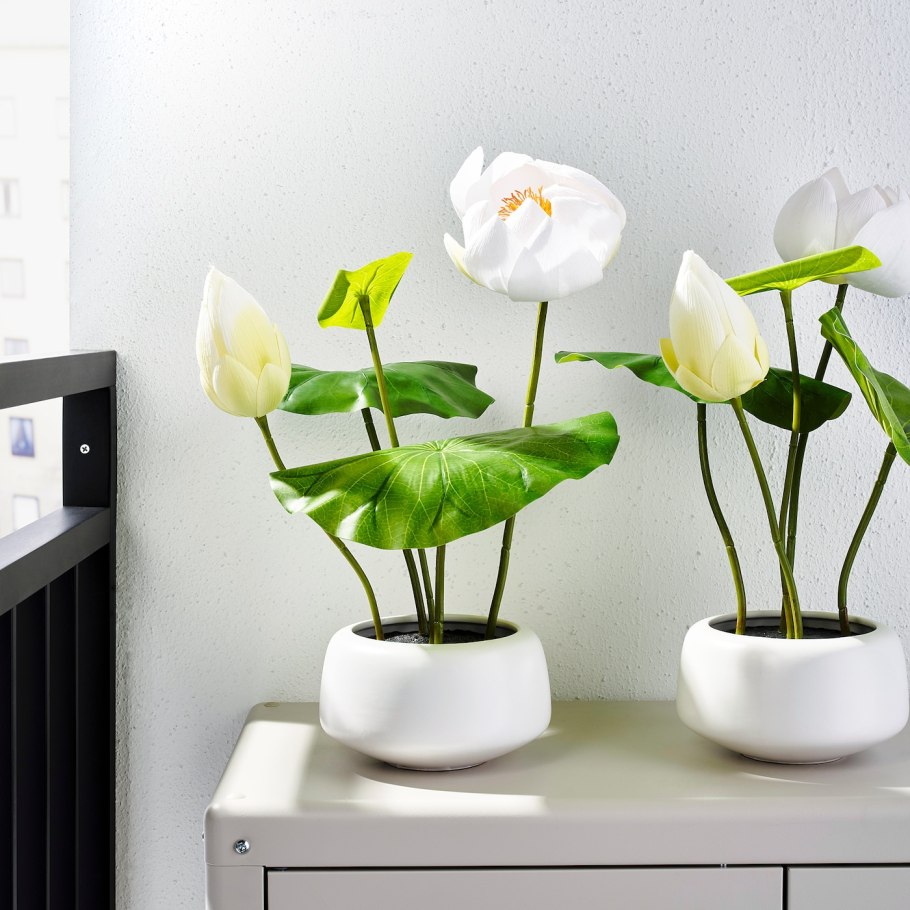 Fejka фейка искусственное растение