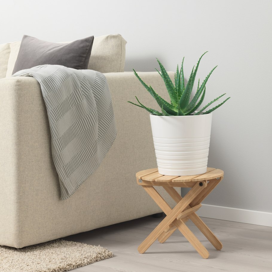 Икеа декоративная трава