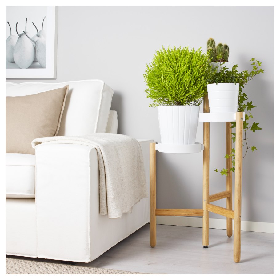 СМИККА сухой букет зеленый 115 см