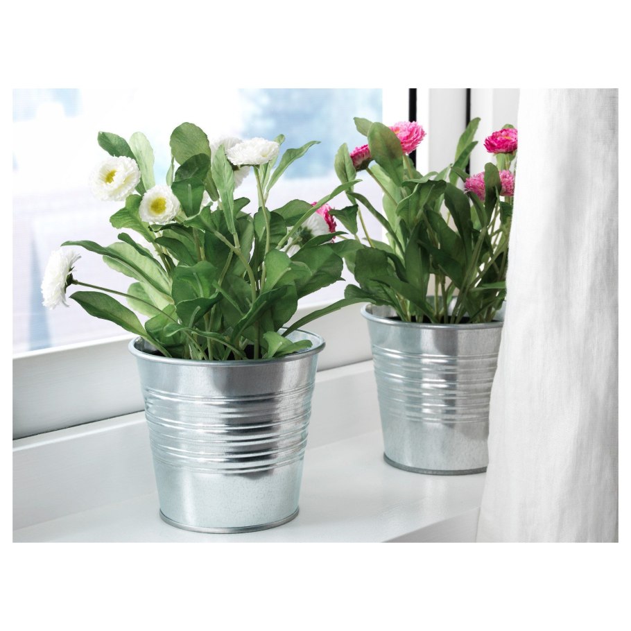 Fejka фейка искусственное растение