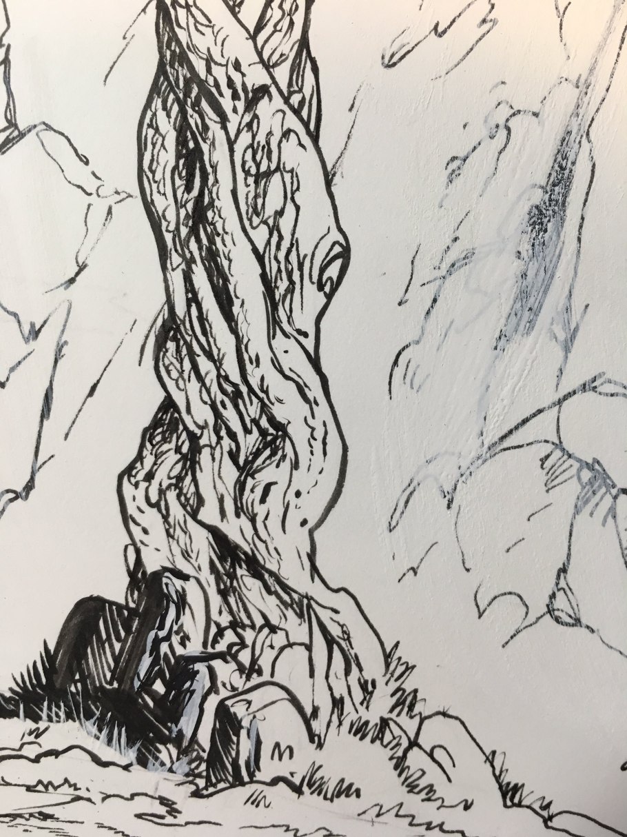 Кора дерева Графика