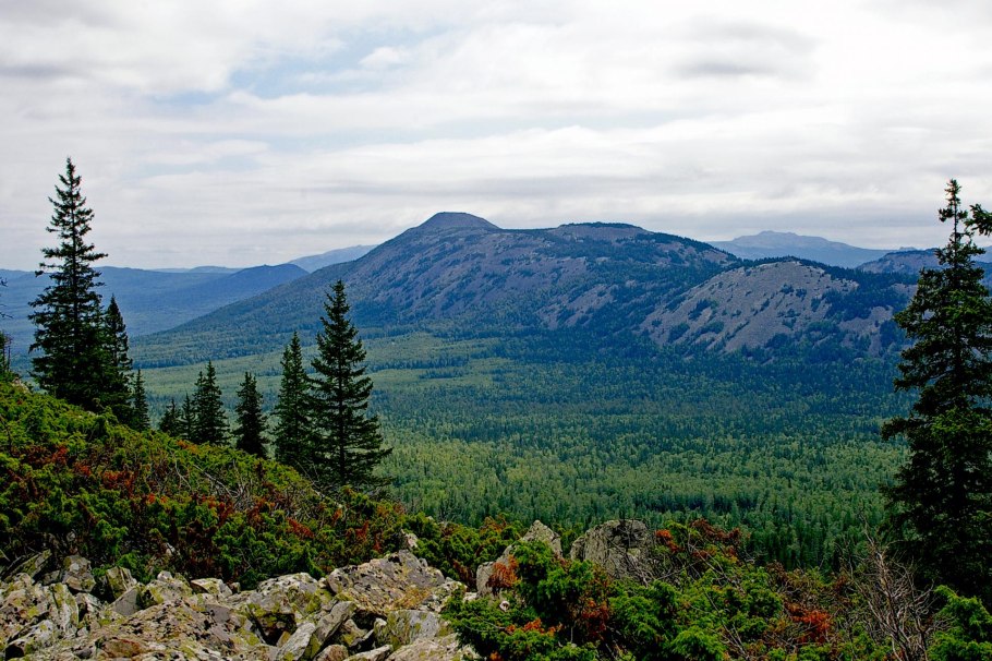 Национальный парк Зюраткуль растения