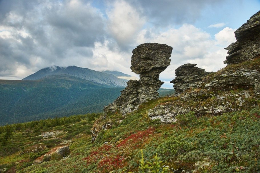 Пермский край государственный природный заповедник «Вишерский»