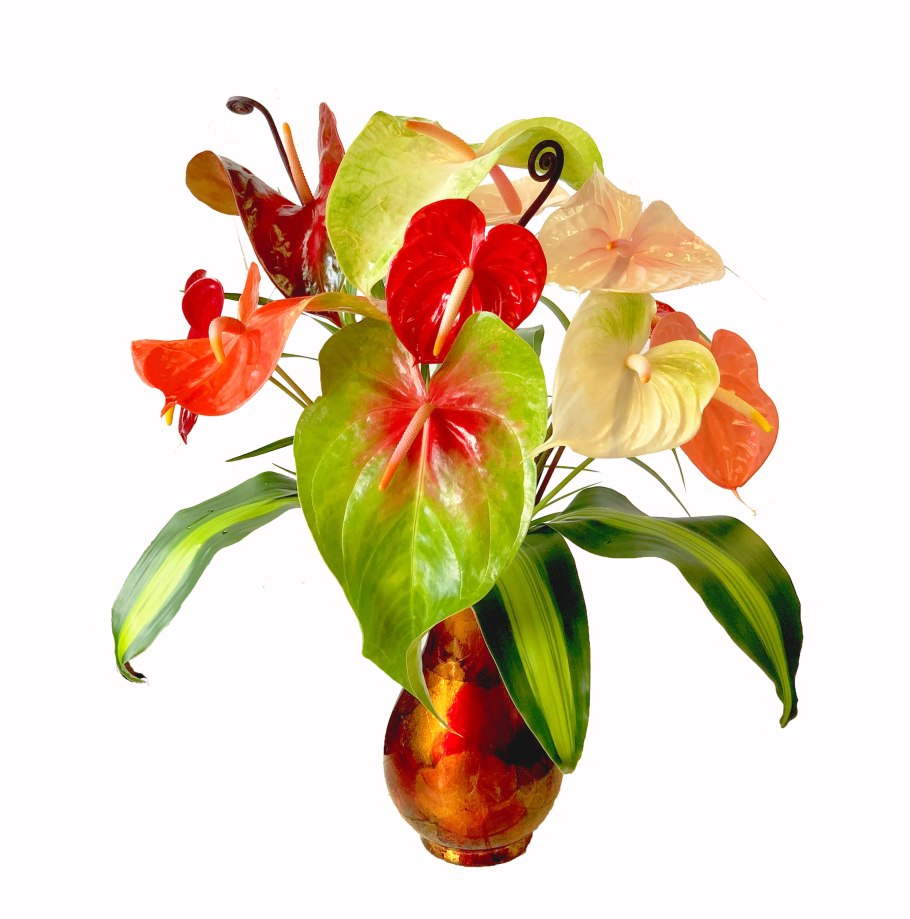 Антуриум экзота