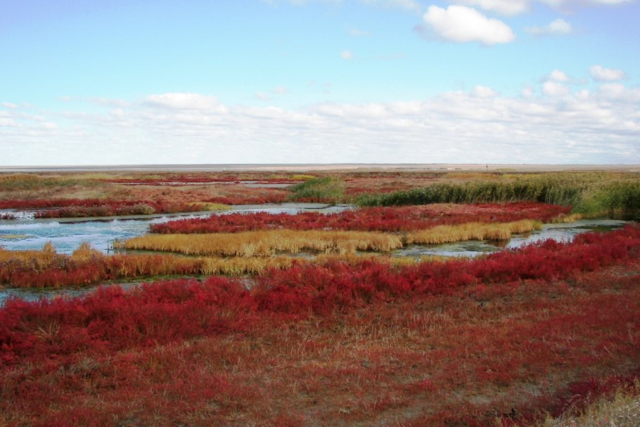 Эльтонский природный парк