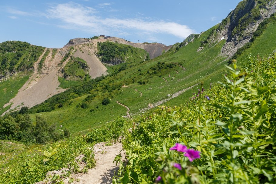Катунский заповедник Альпийские Луга