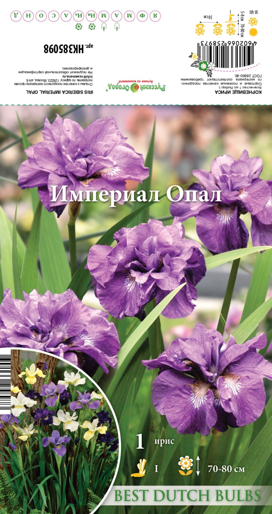 Rigamarole Ирис Сибирский