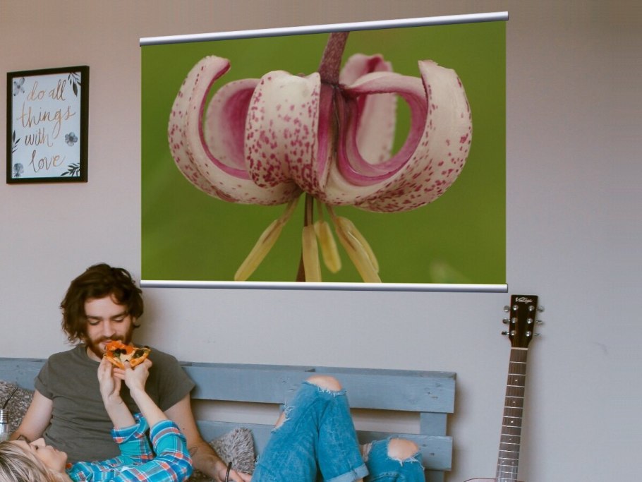 Лилия мартагон