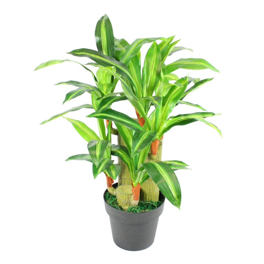 Urban Jungle интерьер Калатея