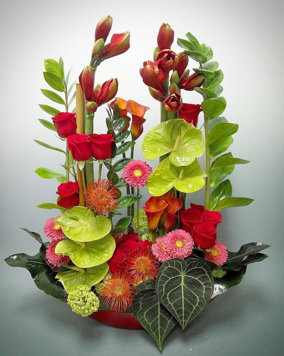 Антуриум Аляска