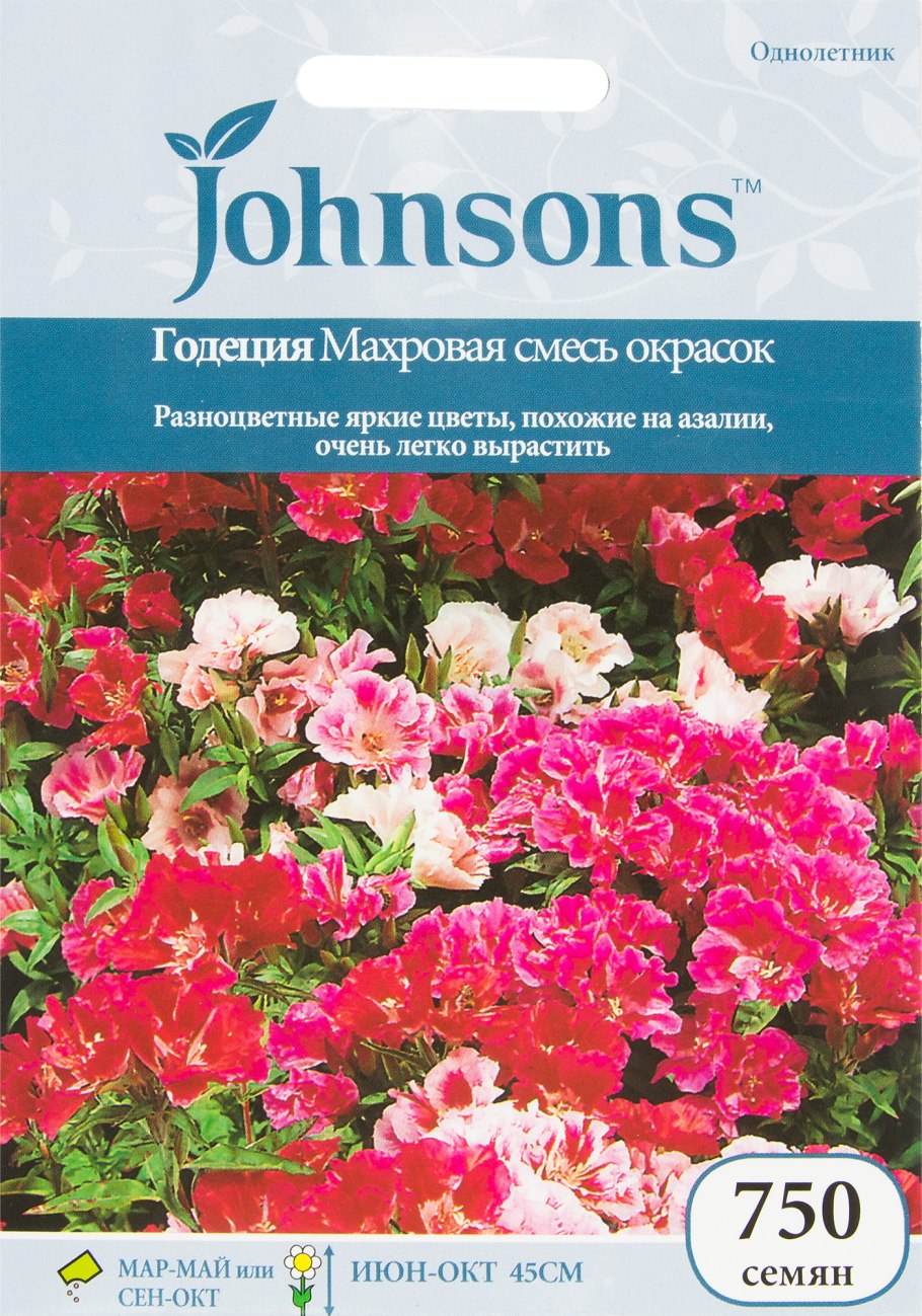 Годеция крупноцветковая белесая смесь сортов