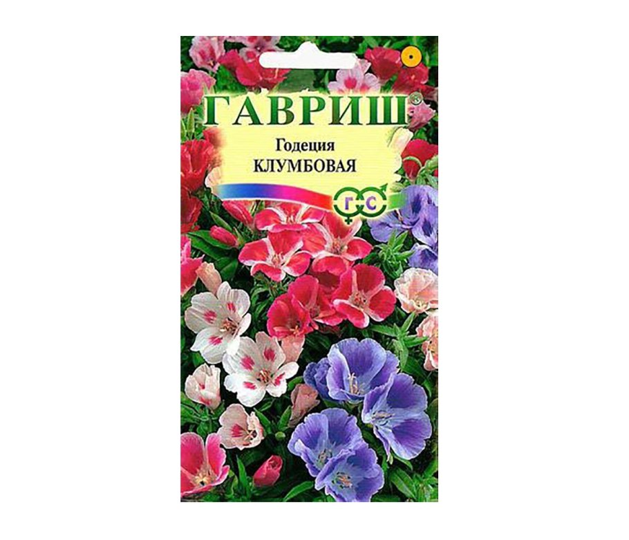 Годеция Монарх