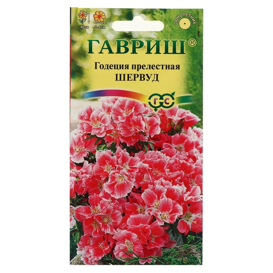 Годеция Синдерелла