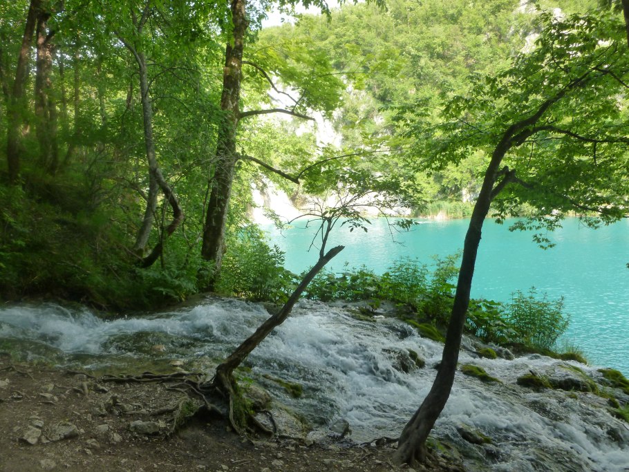 Флориде, каменный дождь