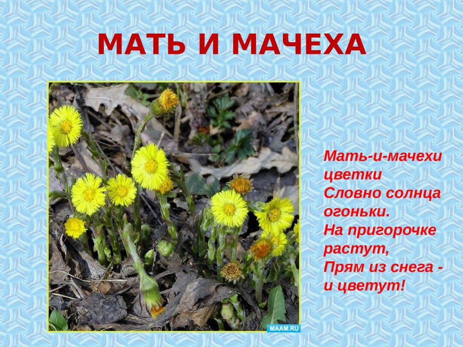 Мать и мачеха зеленые страницы 2 класс