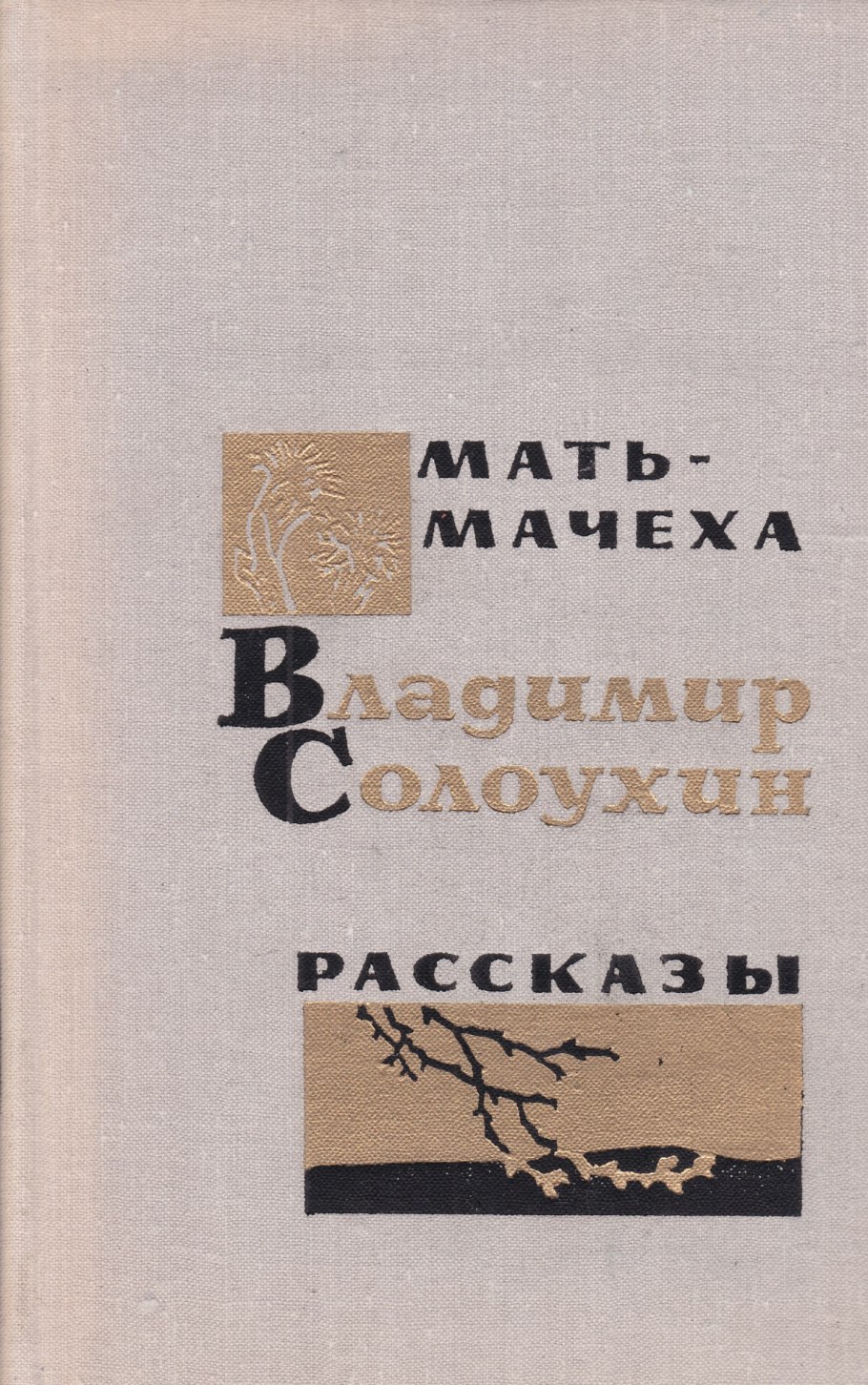 Мать и мачеха на белом фоне