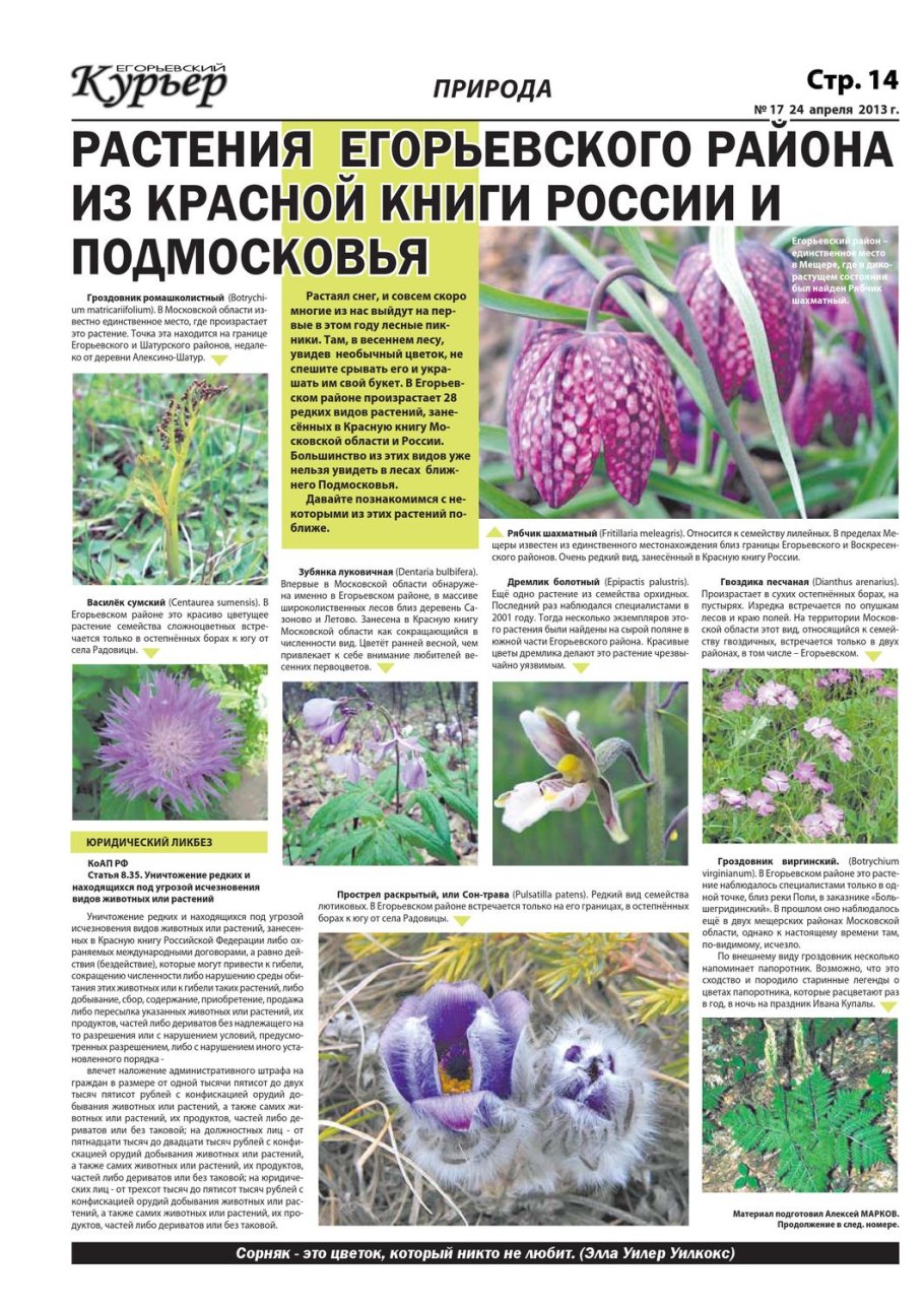 Растения Московской области занесенные в красную книгу