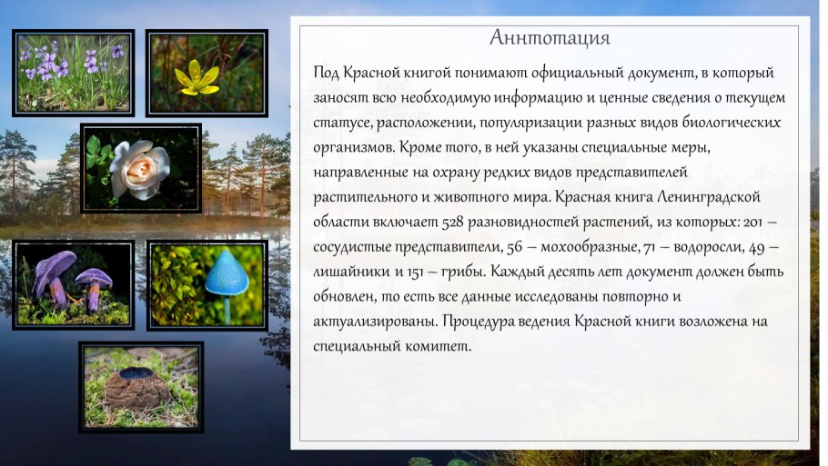 Растения красной книги Ленинградской области фото и описание