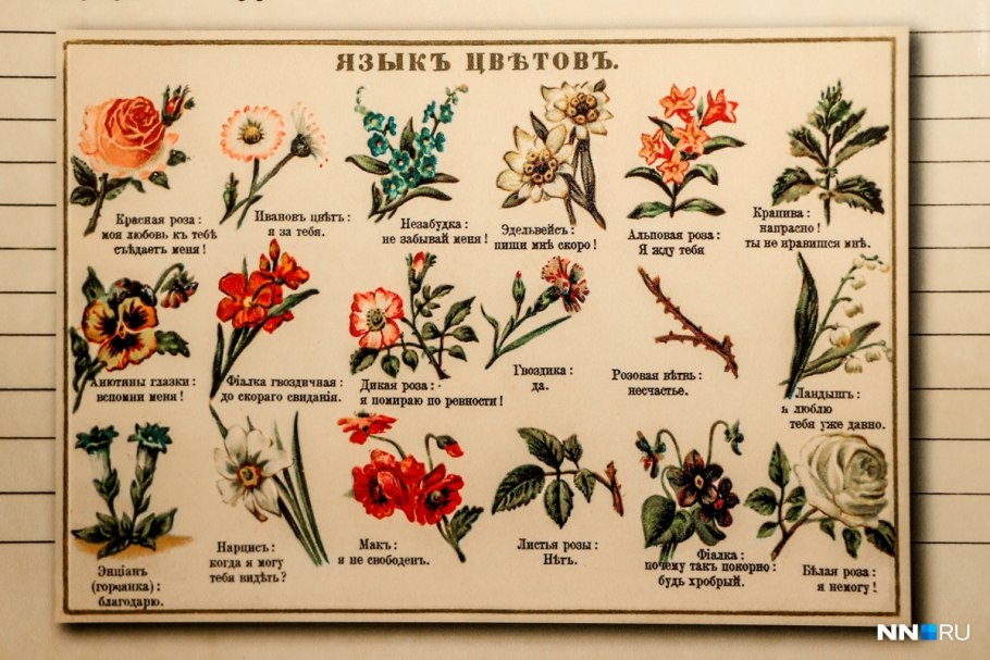 Цветы на языке цветов