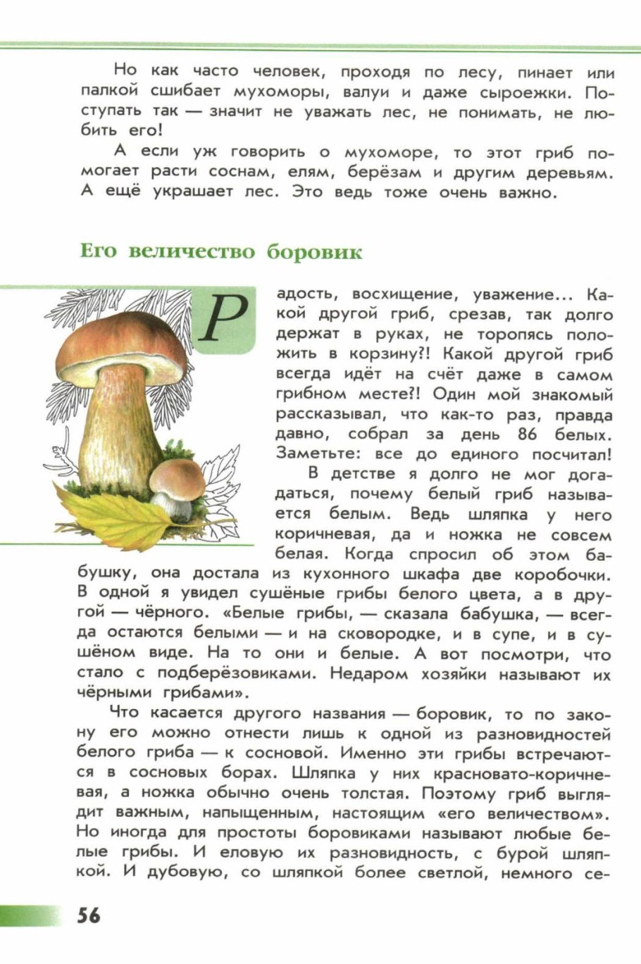 Дубы черешча- тый гербарий