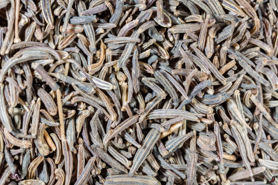 Тимьян ползучий Радужный