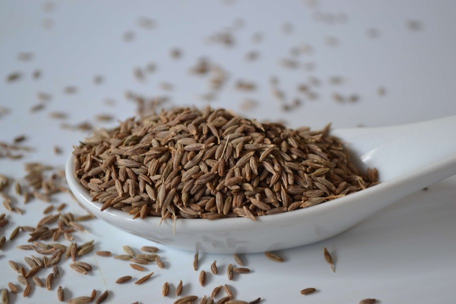 Кондари Цитрон чабер