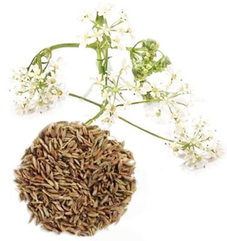 Приправы и специи названия