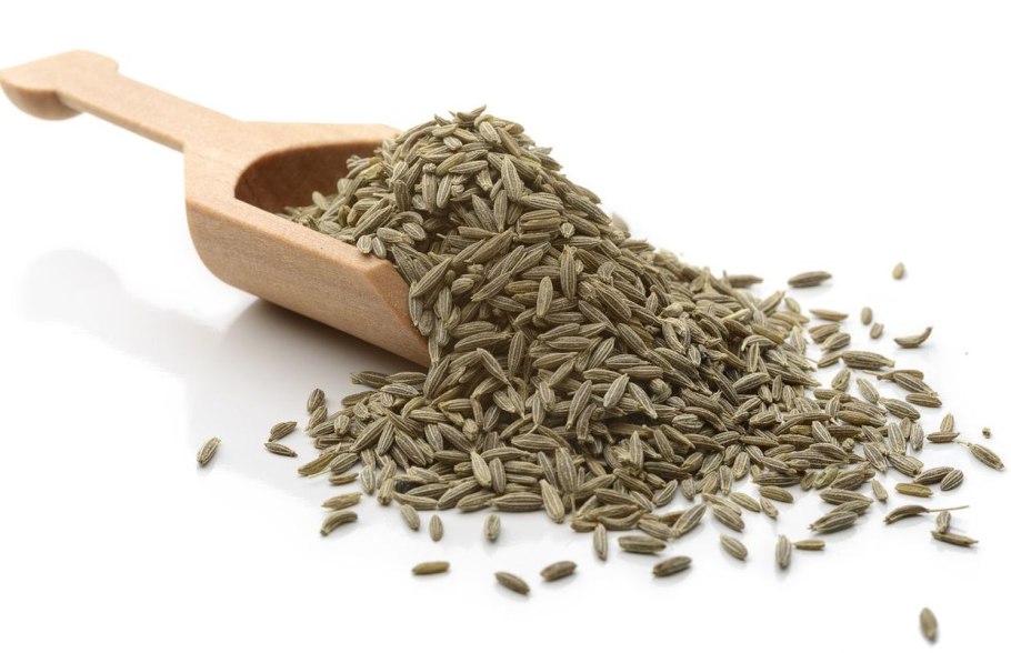 Чабрец на белом фоне вектор