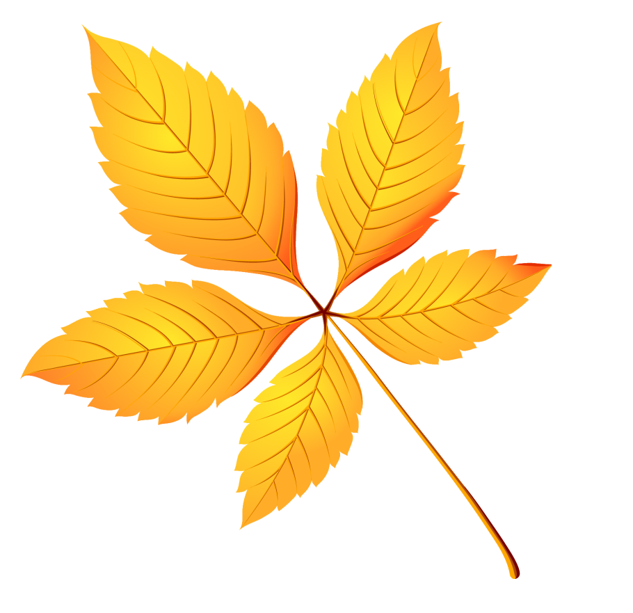 Каштан дерево осенью