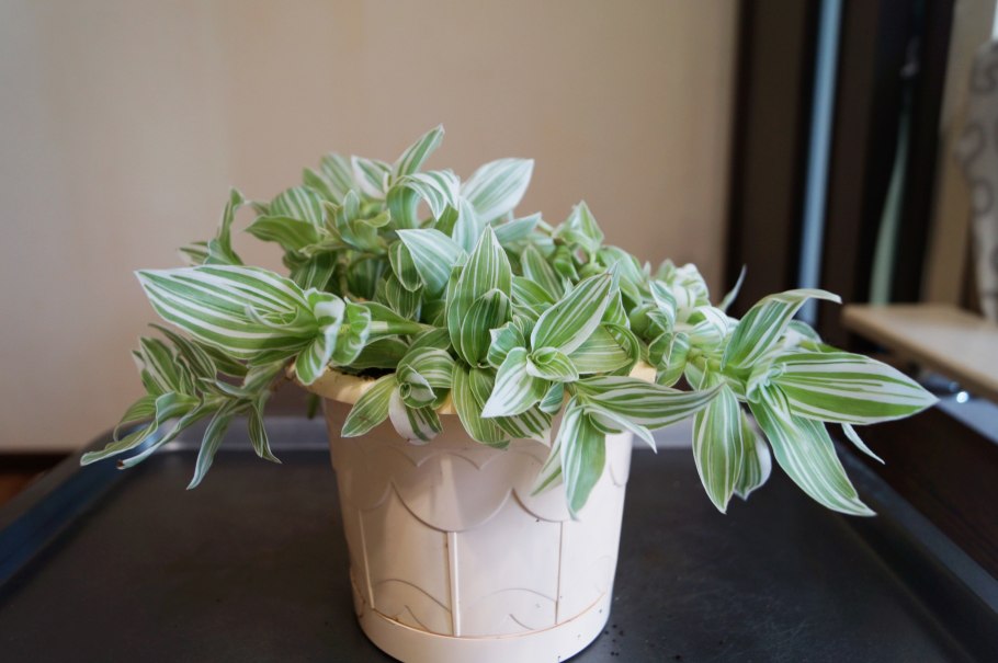 Крючки Gamakatsu Hook LS-1810b