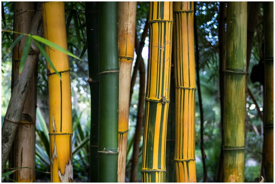 Кухня Базис зебрано