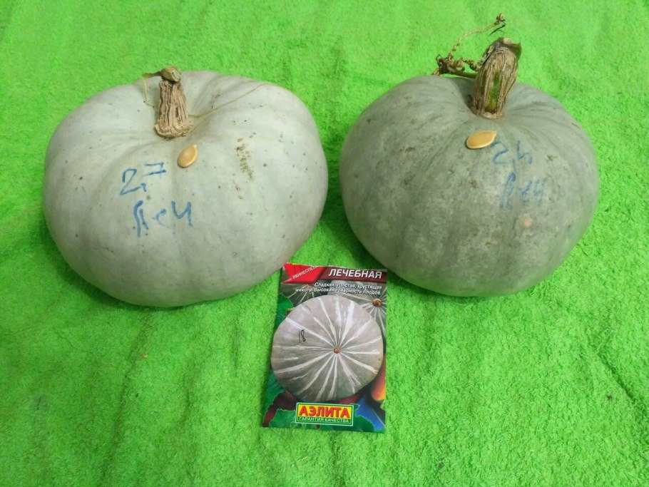 Семена "тыква. Лечебная", 2 г
