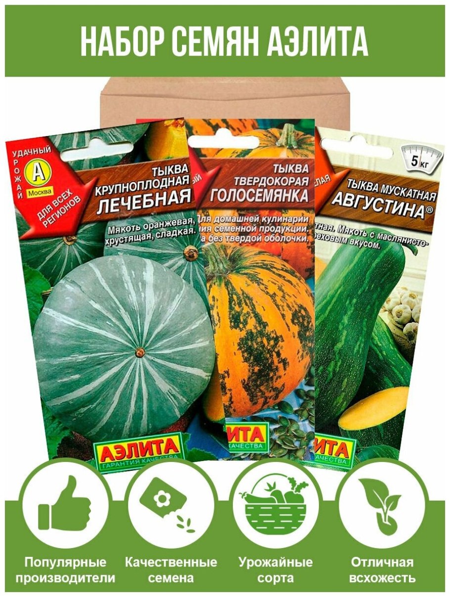 Гавриш тыква Стофунтовая