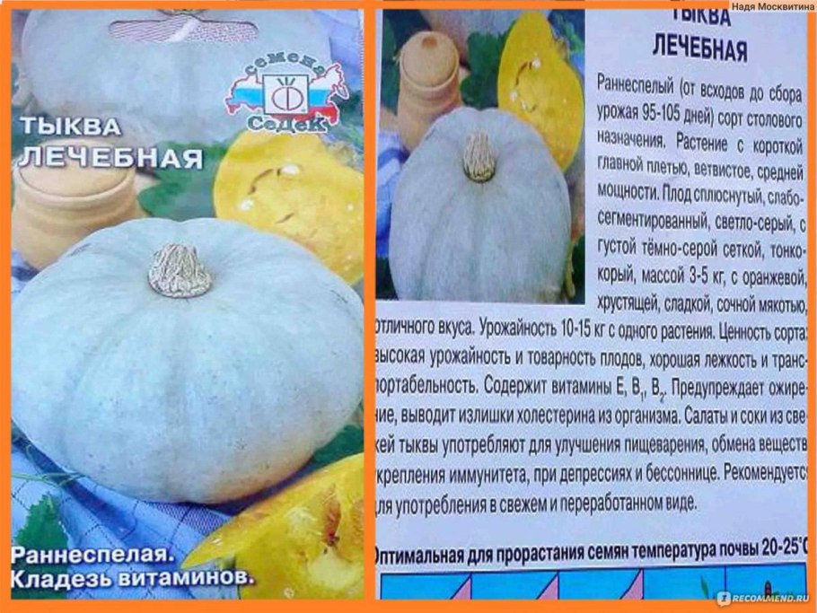 Тыква "лечебная" (Гавриш) 1г