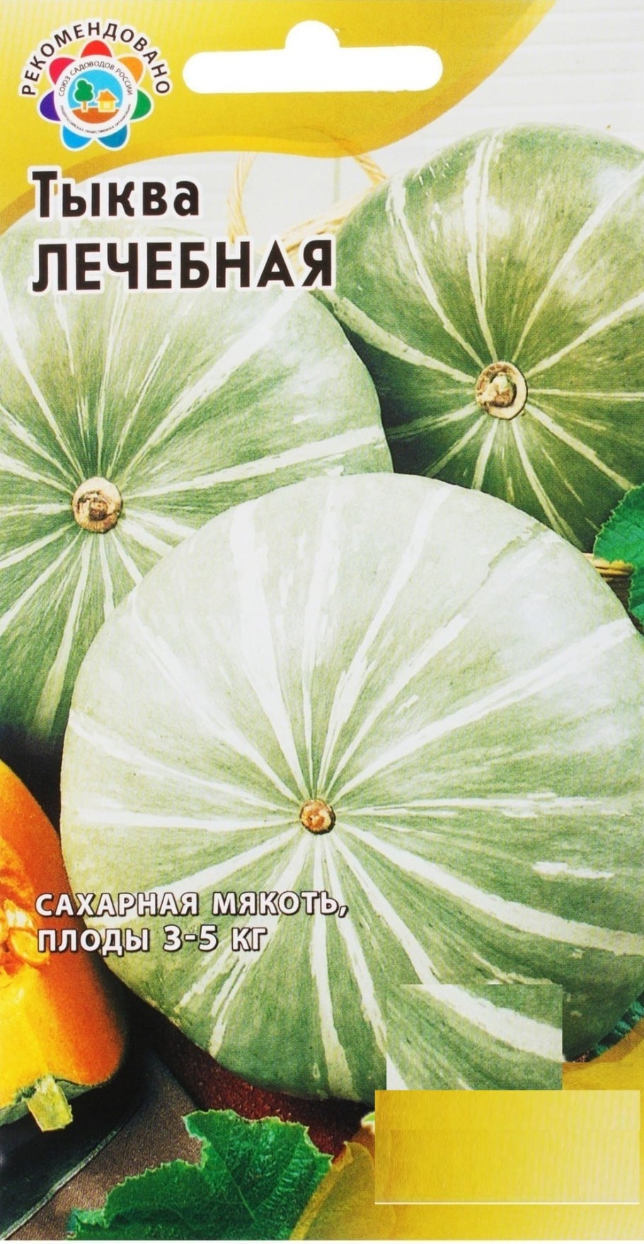 Тыква полезный овощ