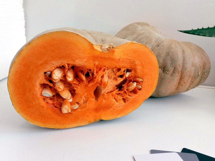 Семена. Тыква "лечебная"