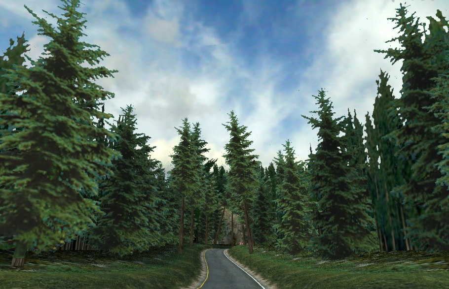 Елка в лесу летом