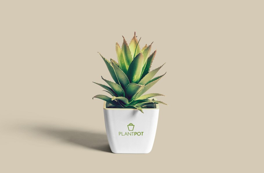 Цветок в горшке Минимализм