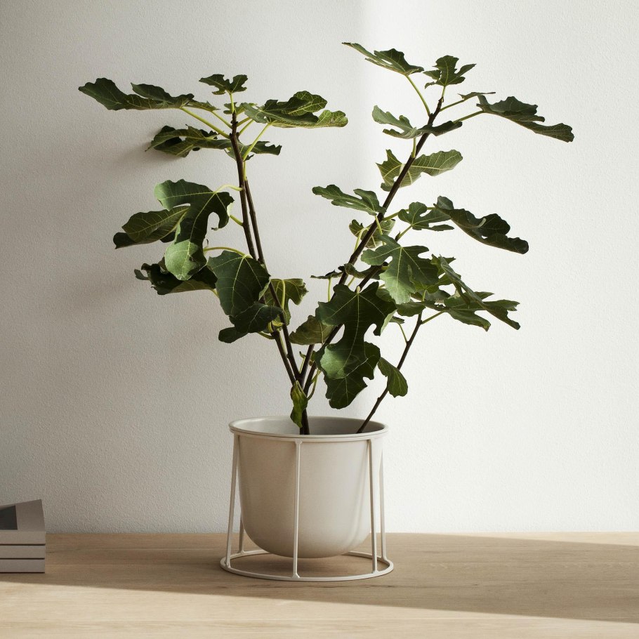 Цветы в скандинавском стиле