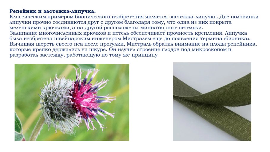 Адаптация животных к почвенной среде обитания