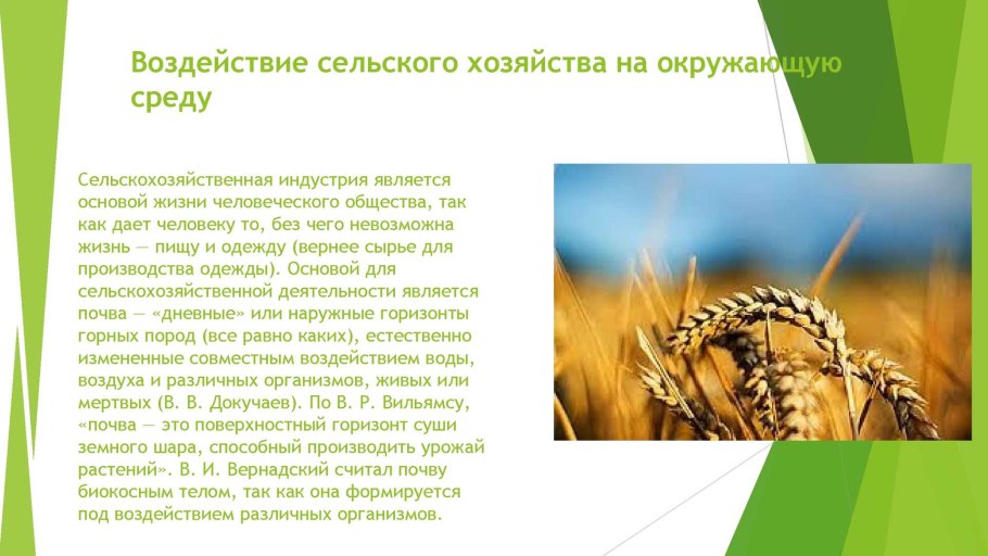 Перьевой Покров птицы таблица