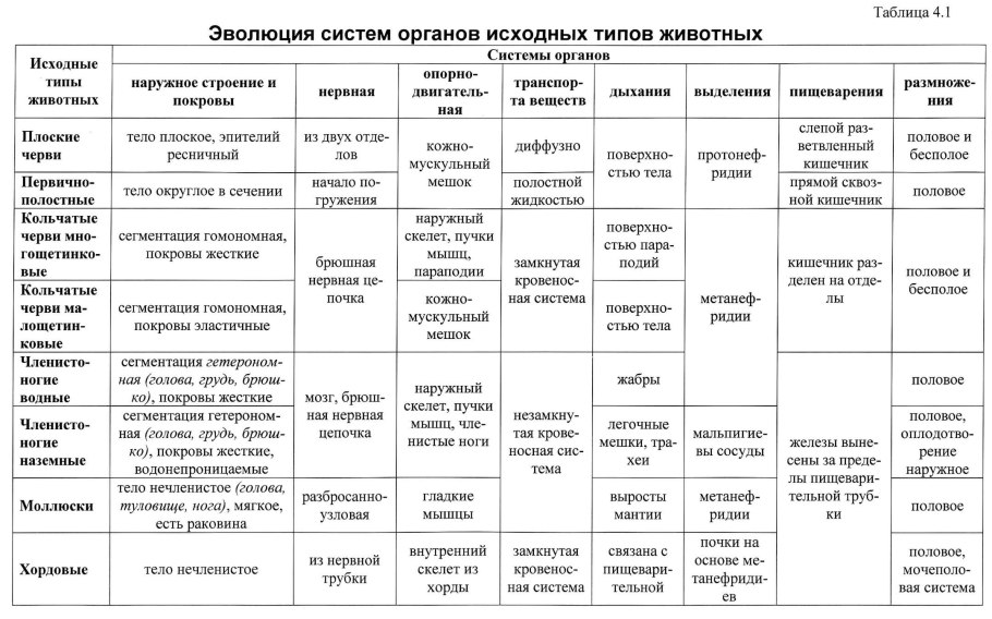 Ковыль Крылова
