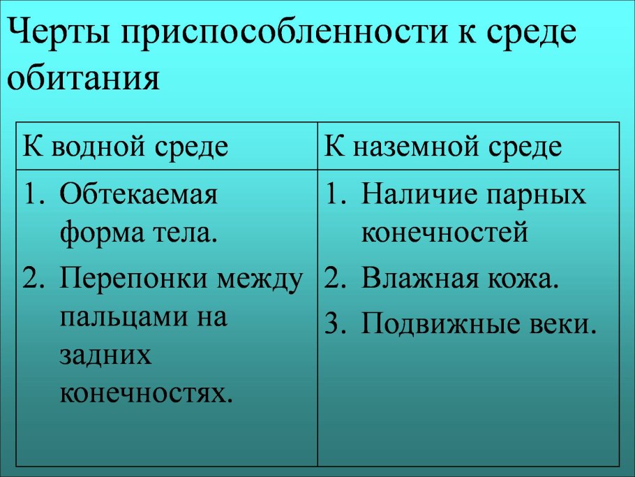Черты приспособленности к среде обитания