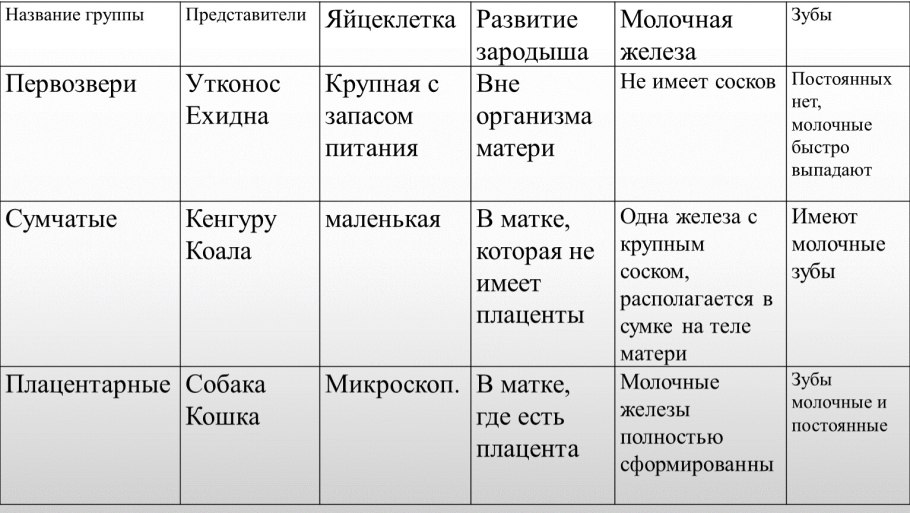 Способы распространения семян и плодов у растений