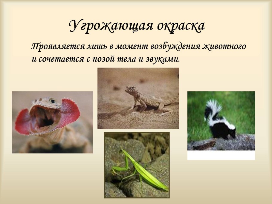 Эволюция нервной системы у животных таблица 7 класс