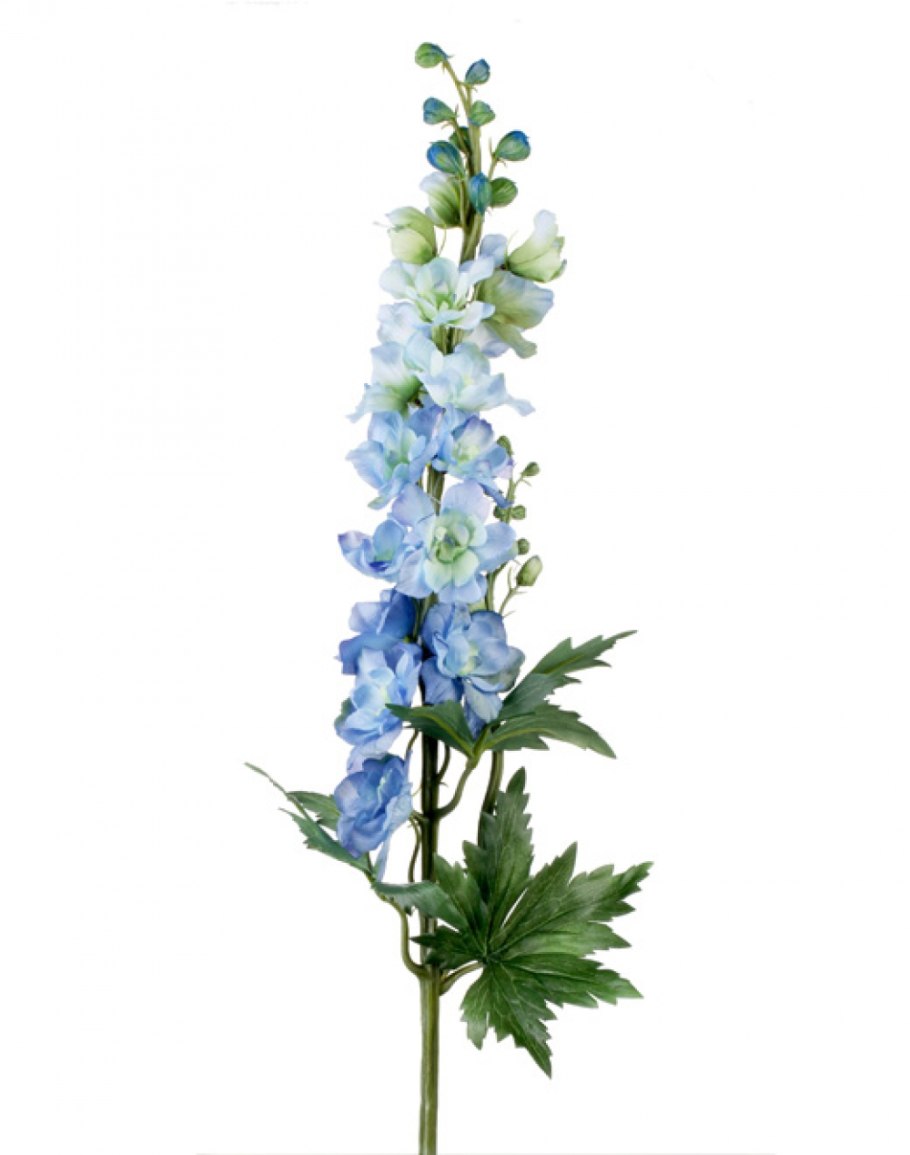 Дельфиниум (Delphinium) срезка